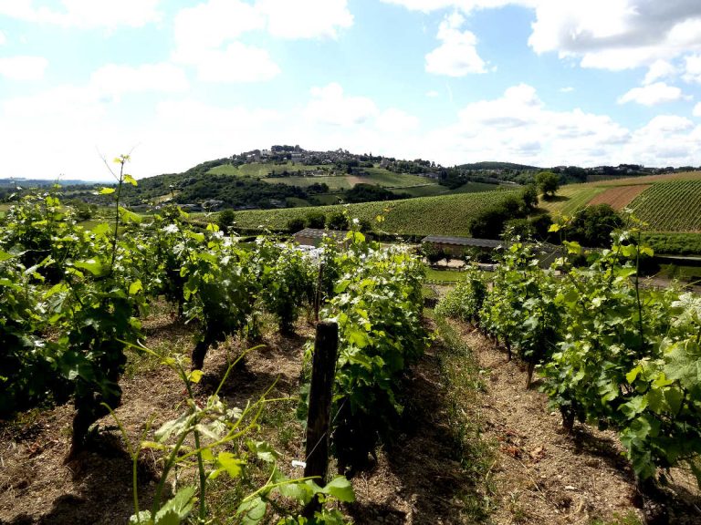 Les vins et vignobles du Loiret
